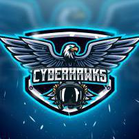 CyberHawks